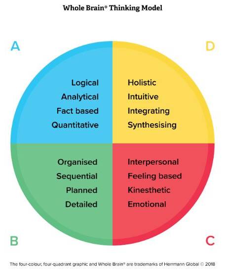 Whole Brain Thinking Model showing four HBDI thinking preferences: analytical (blue), practical (green), relational (red), and experimental (yellow) quadrants